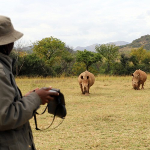 On Rhino Rescue Mission with Rugged Tablets