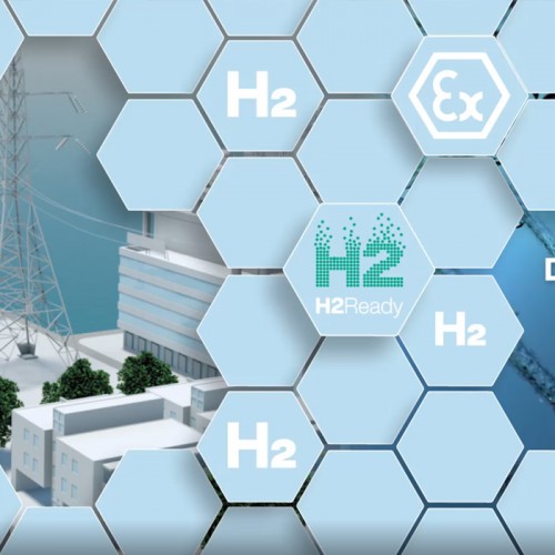 Into the Future with Hydrogen—Electrifying and Sustainable