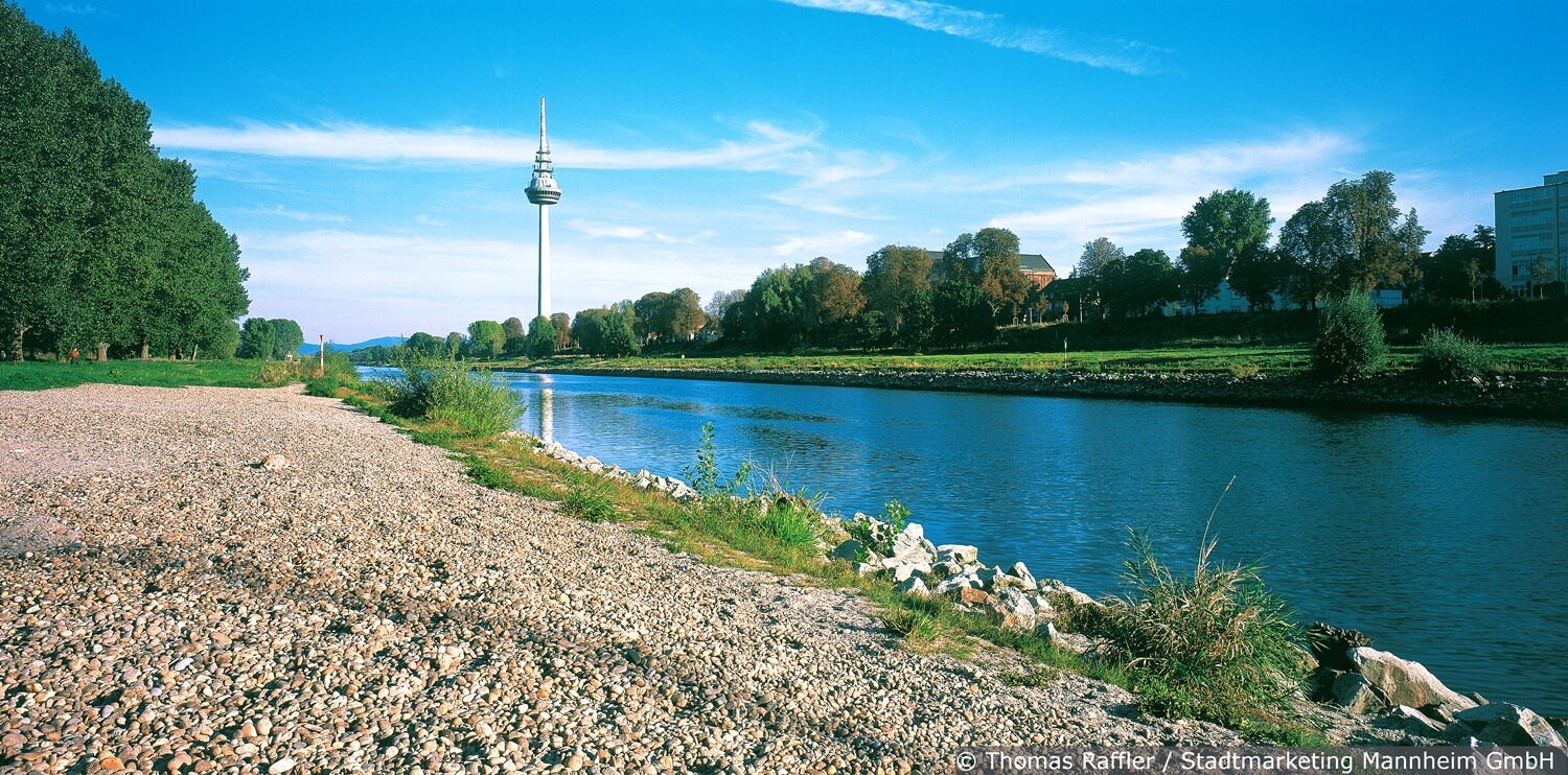 Der Neckar in Mannheim als Ort des Entspannen und als Wasserstraße