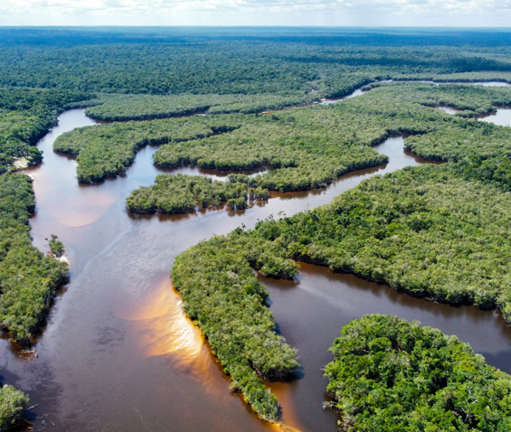 Amazon rainforest with Amazon river